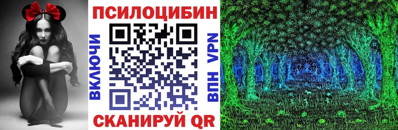 omg рабочий сайт  Ефремов  Псилоцибиновые грибы Cubensis  продажа наркотиков 